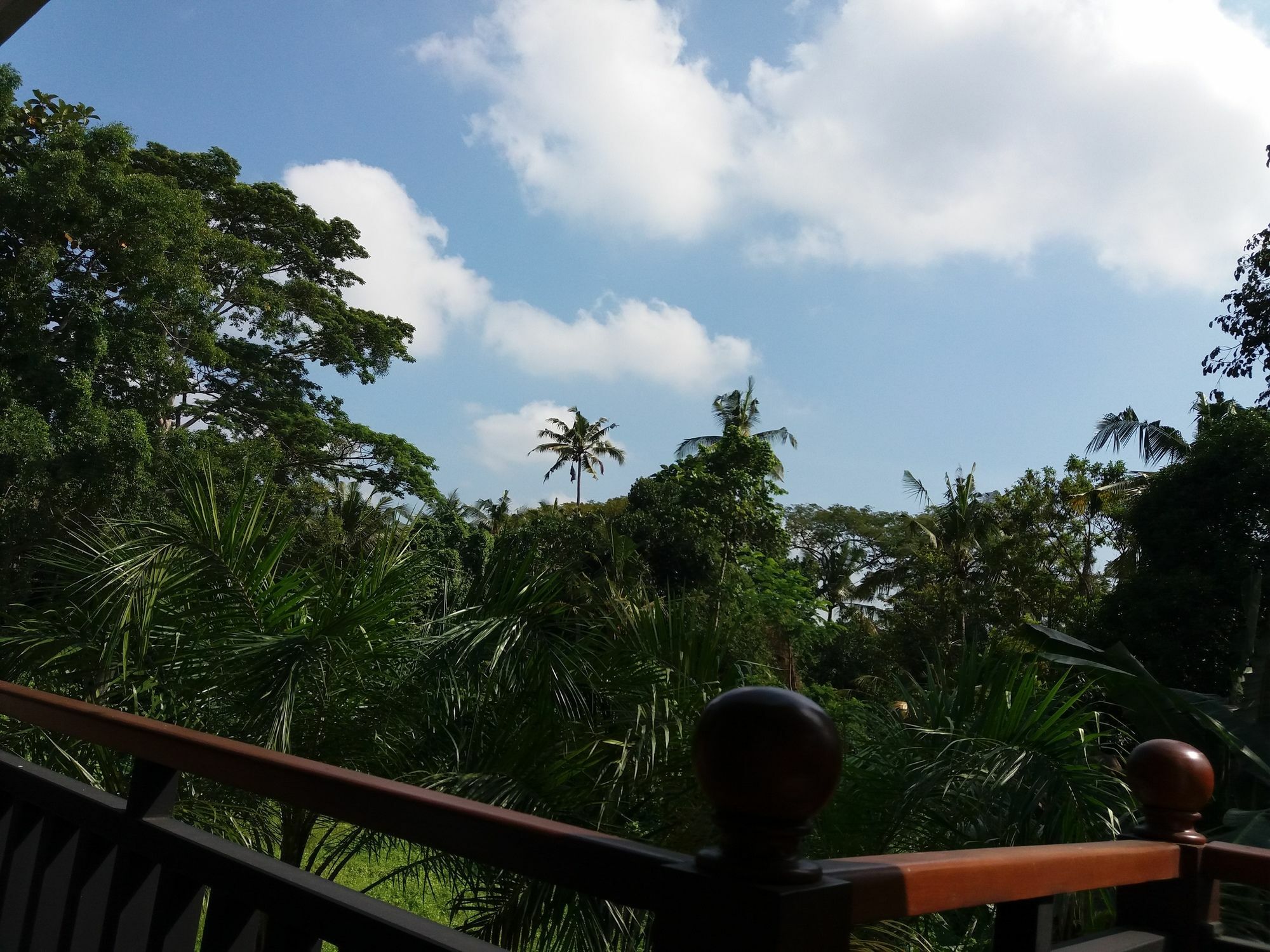 Amoya 3* Ubud (Bali)