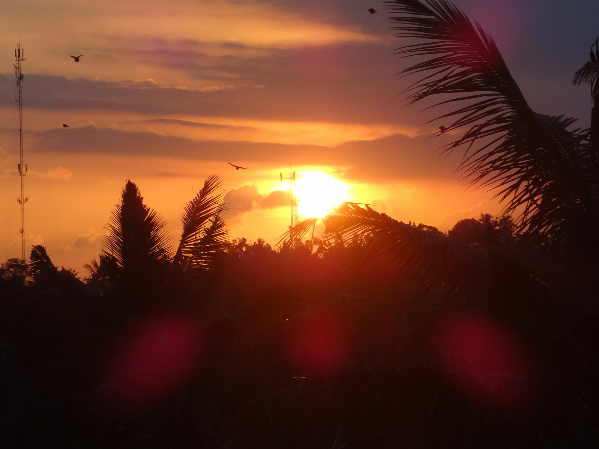 Holiday park Hibiscus Ubud (Bali)