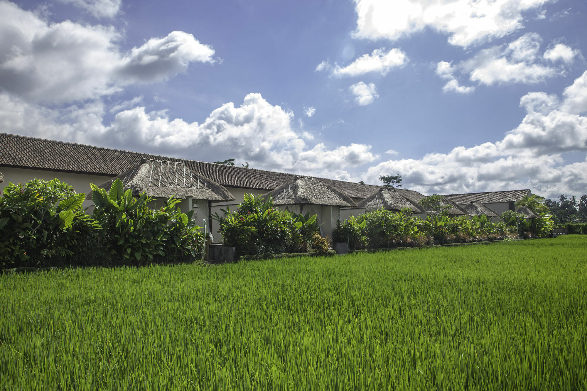 Alam Sembuwuk 4* Ubud (Bali)