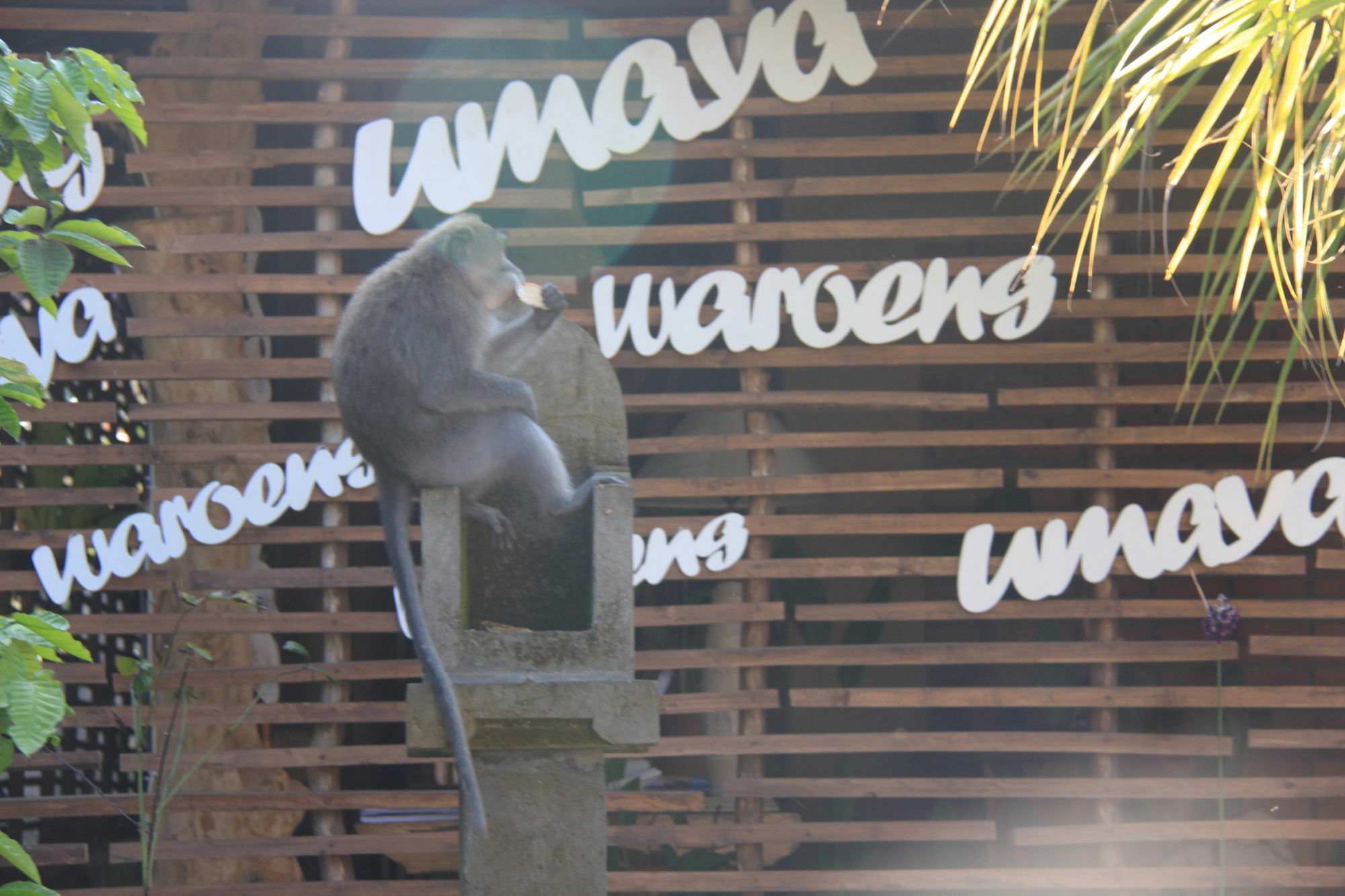 Umaya 3* Ubud (Bali)