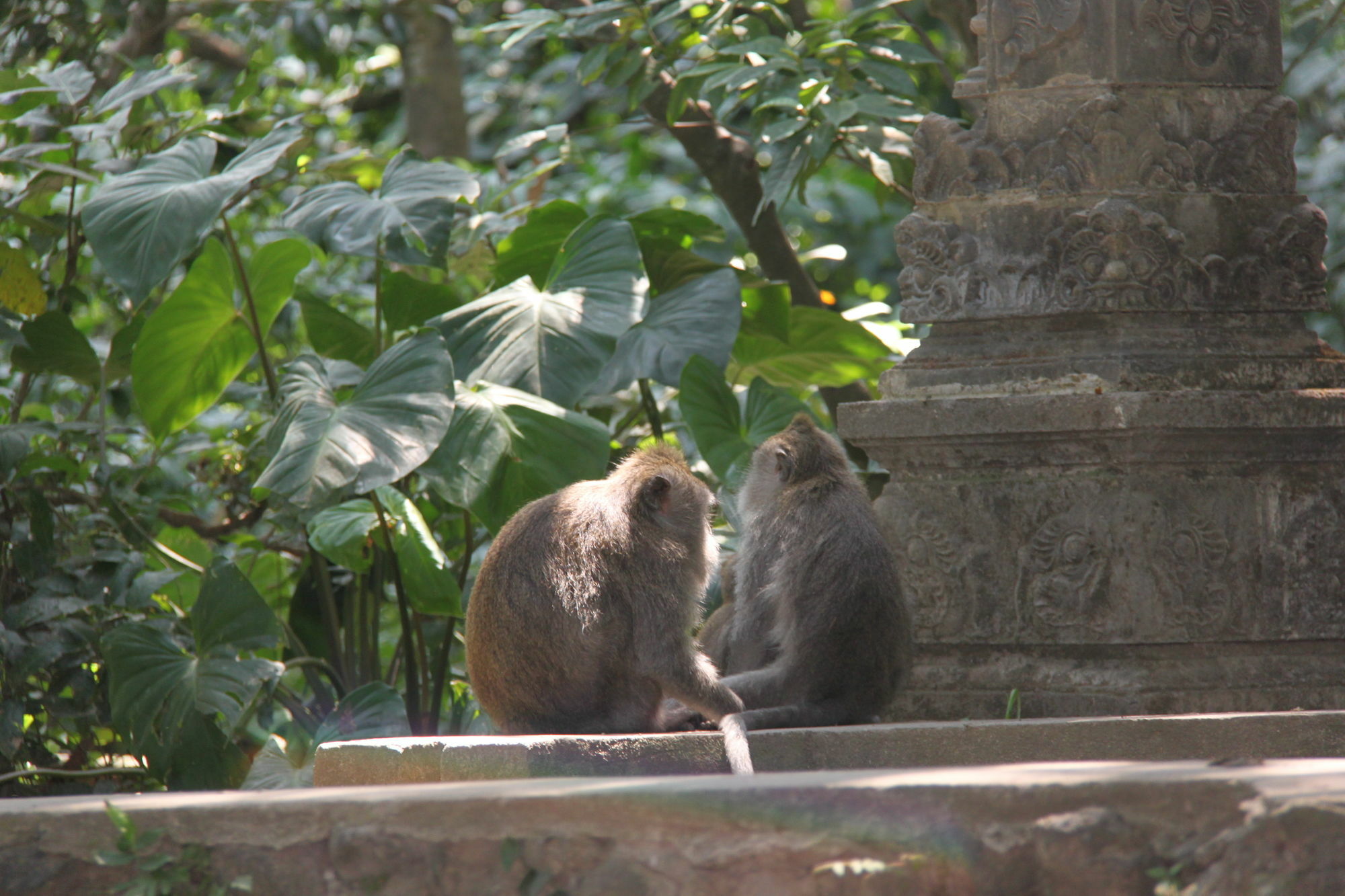 Umaya 3* Ubud (Bali)