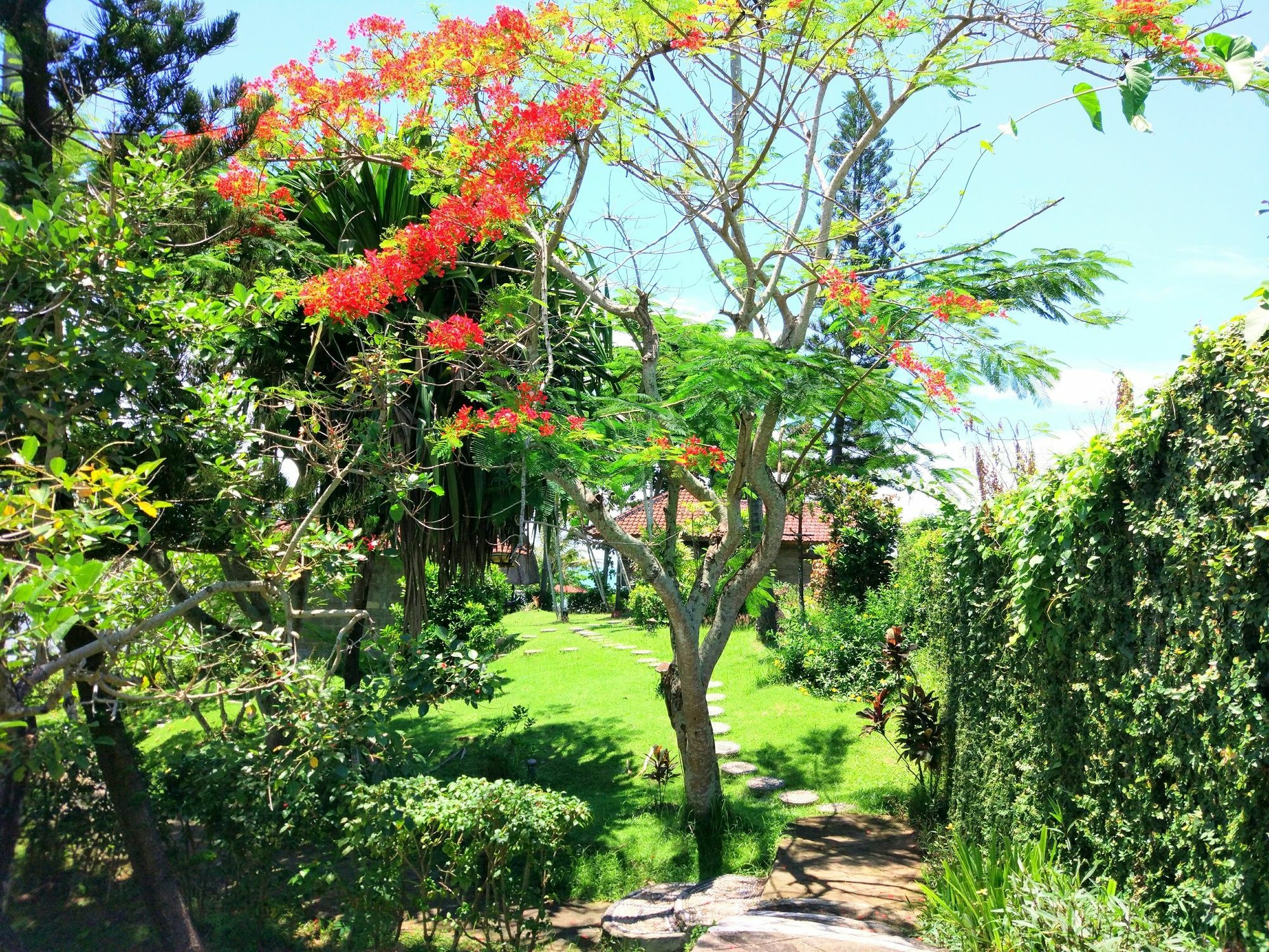 Gajah Mina Selemadeg (Bali)