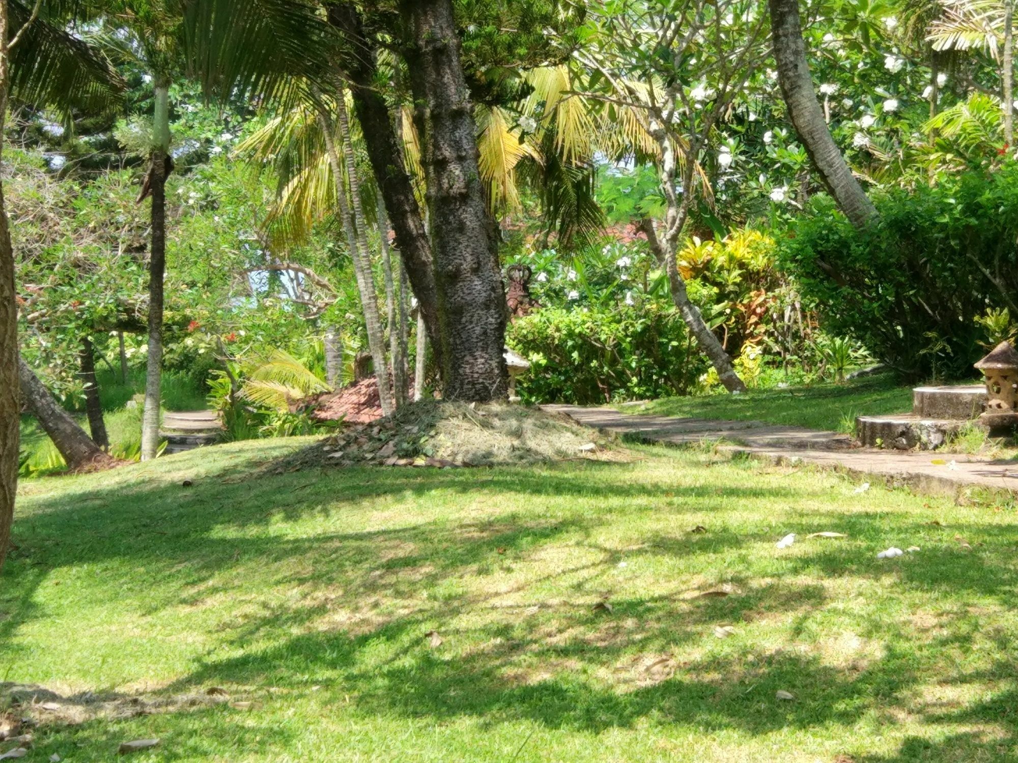 Gajah Mina Resort Selemadeg (Bali)