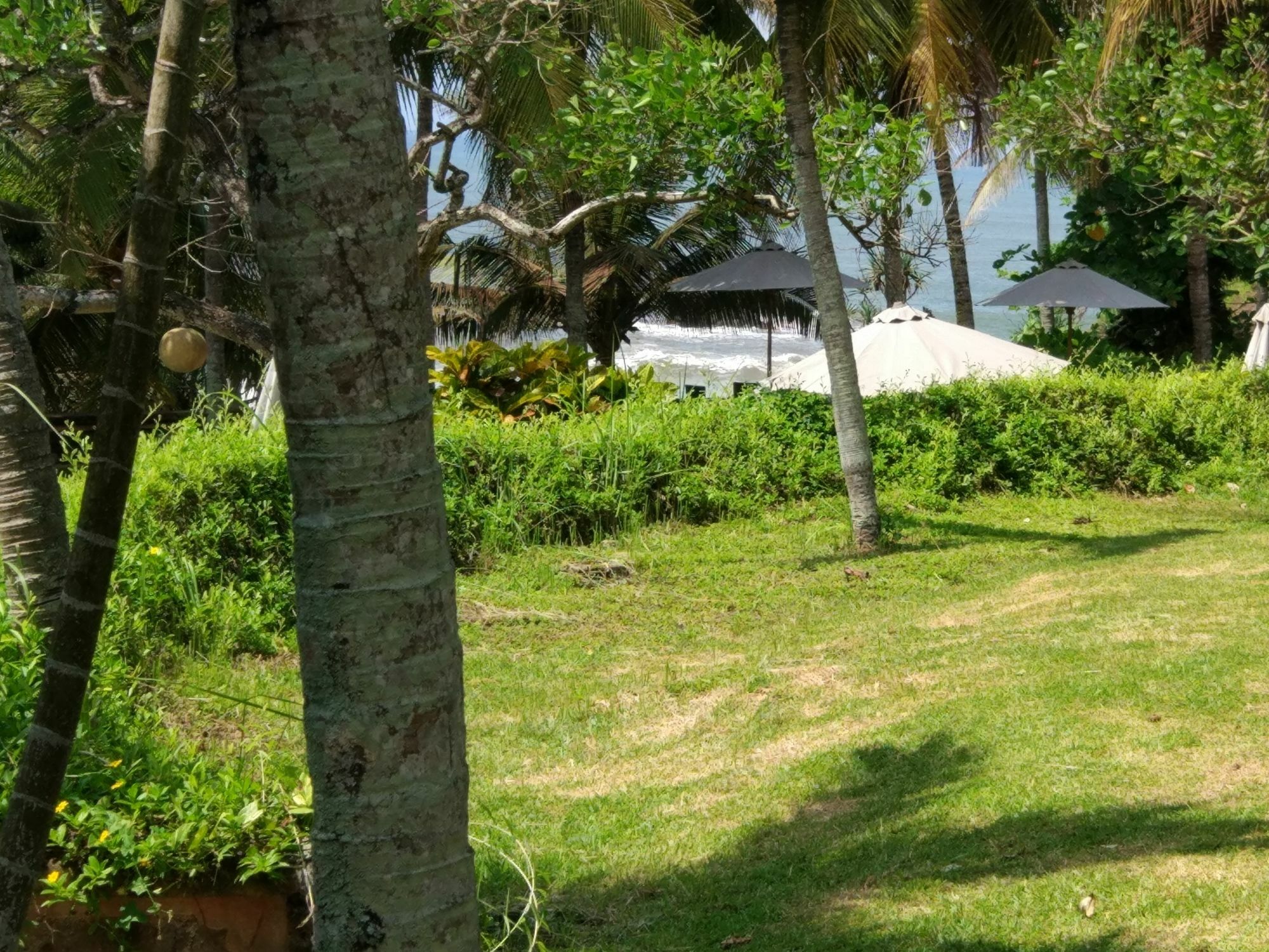 Gajah Mina Resort 3*