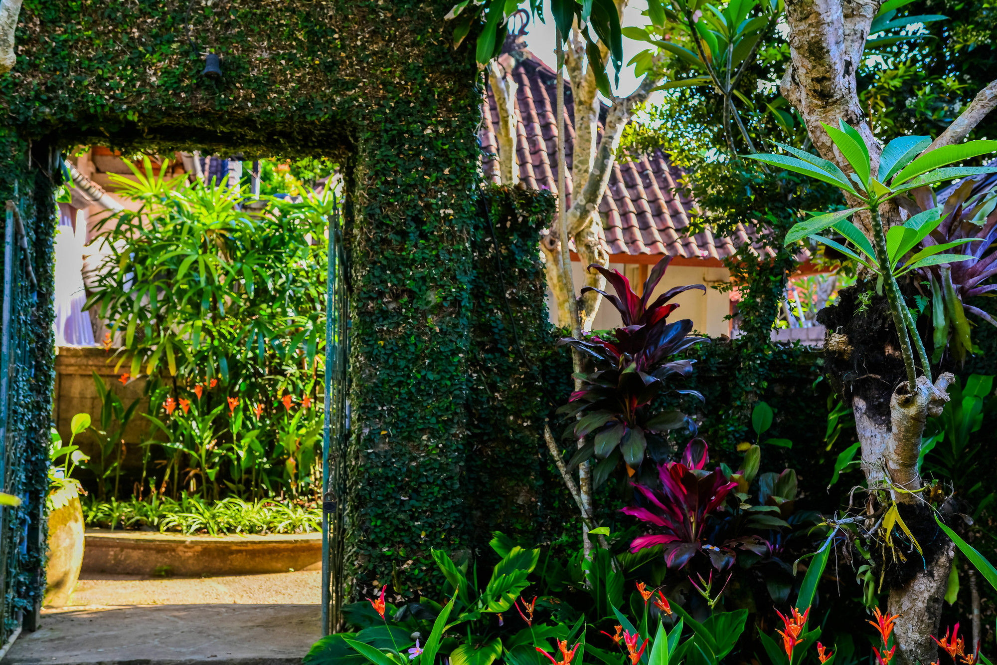 Guest house Griya Sriwedari