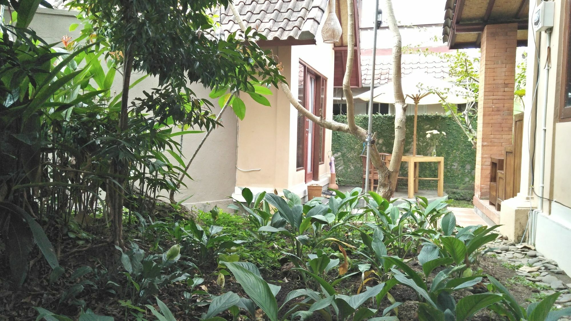 Griya Sriwedari Guest house