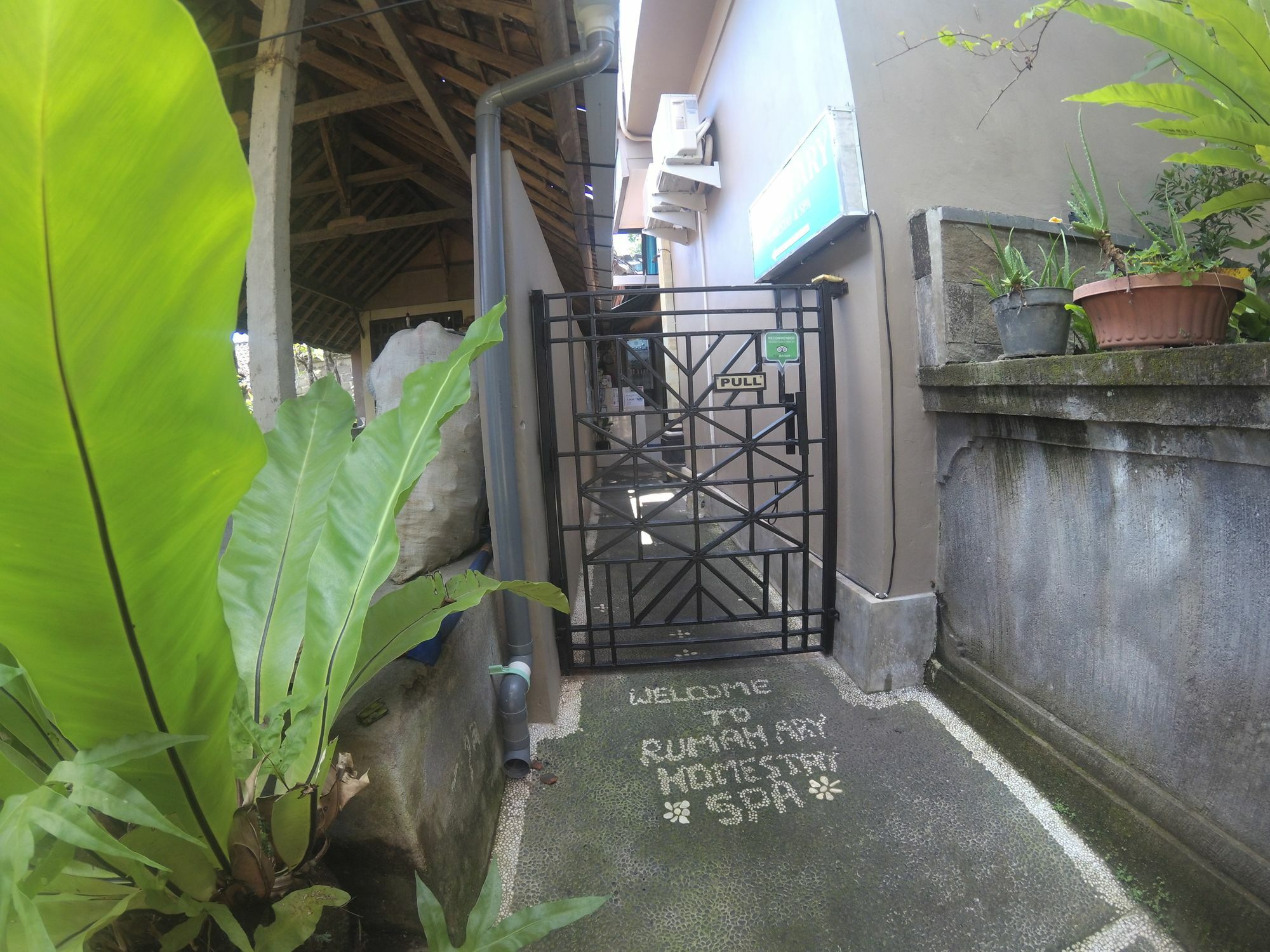 Rumah Ary & * Ubud (Bali)