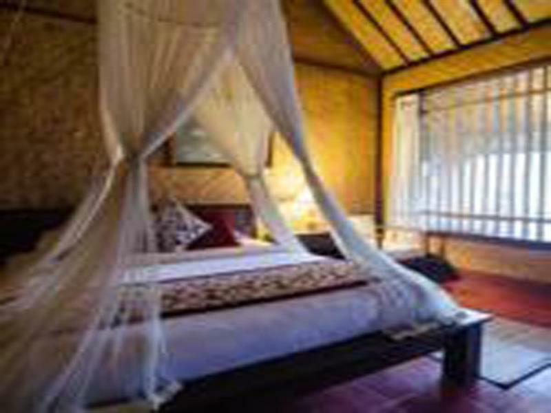 Guest house Jati