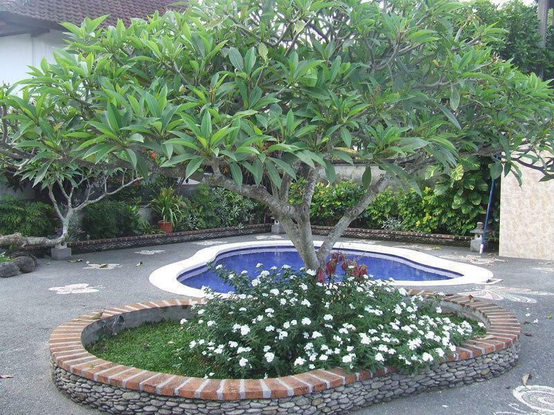 Puri Rasa Villas And 4* Ubud (Bali)
