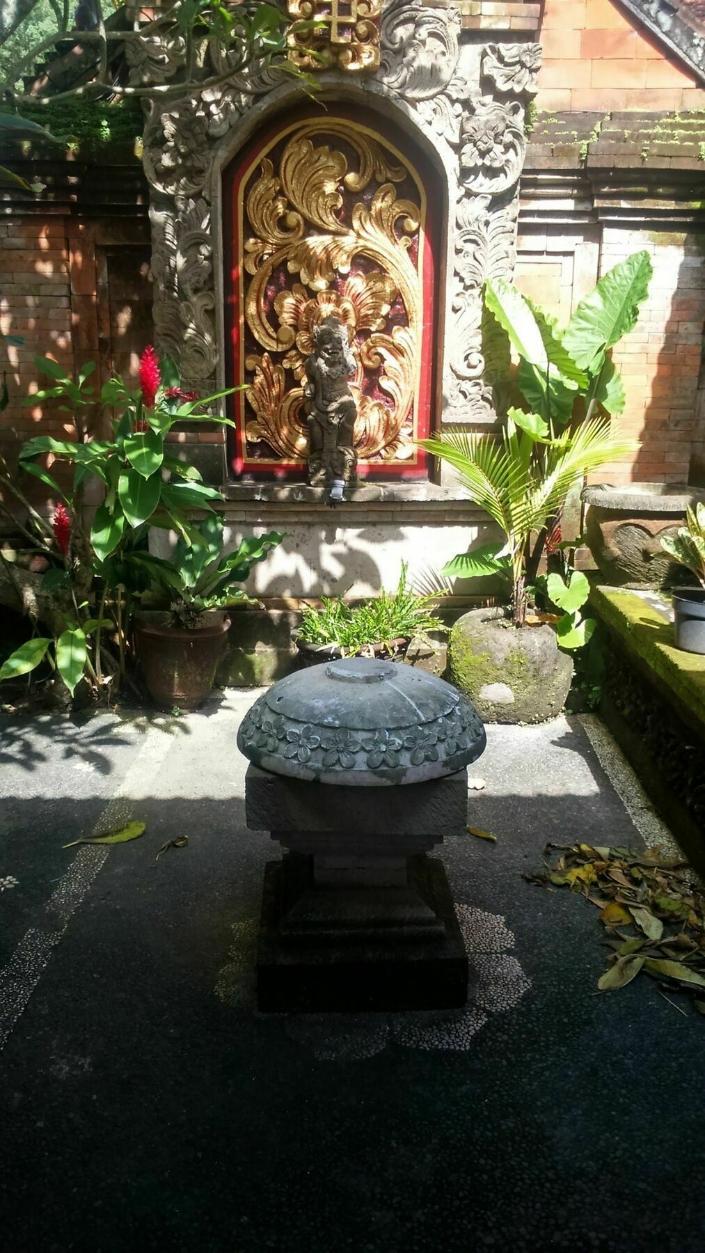 Wisma tamu Fibra