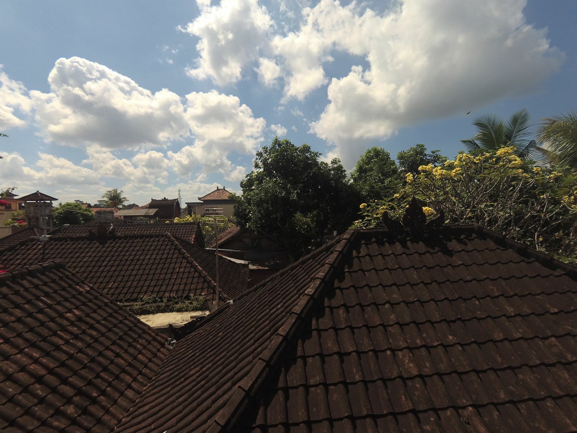 Rumah Ary & Homestay Ubud (Bali)