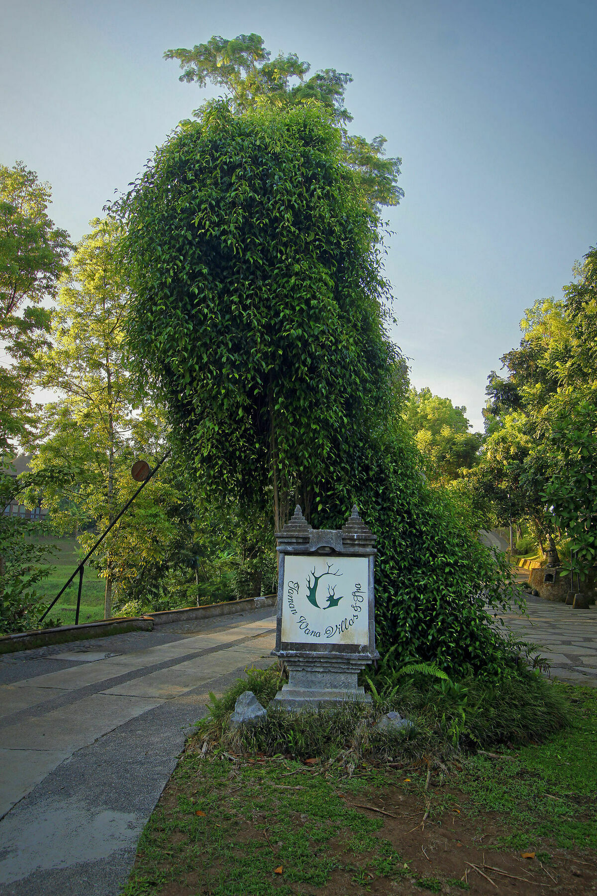 Taman Wana Palasari Resort