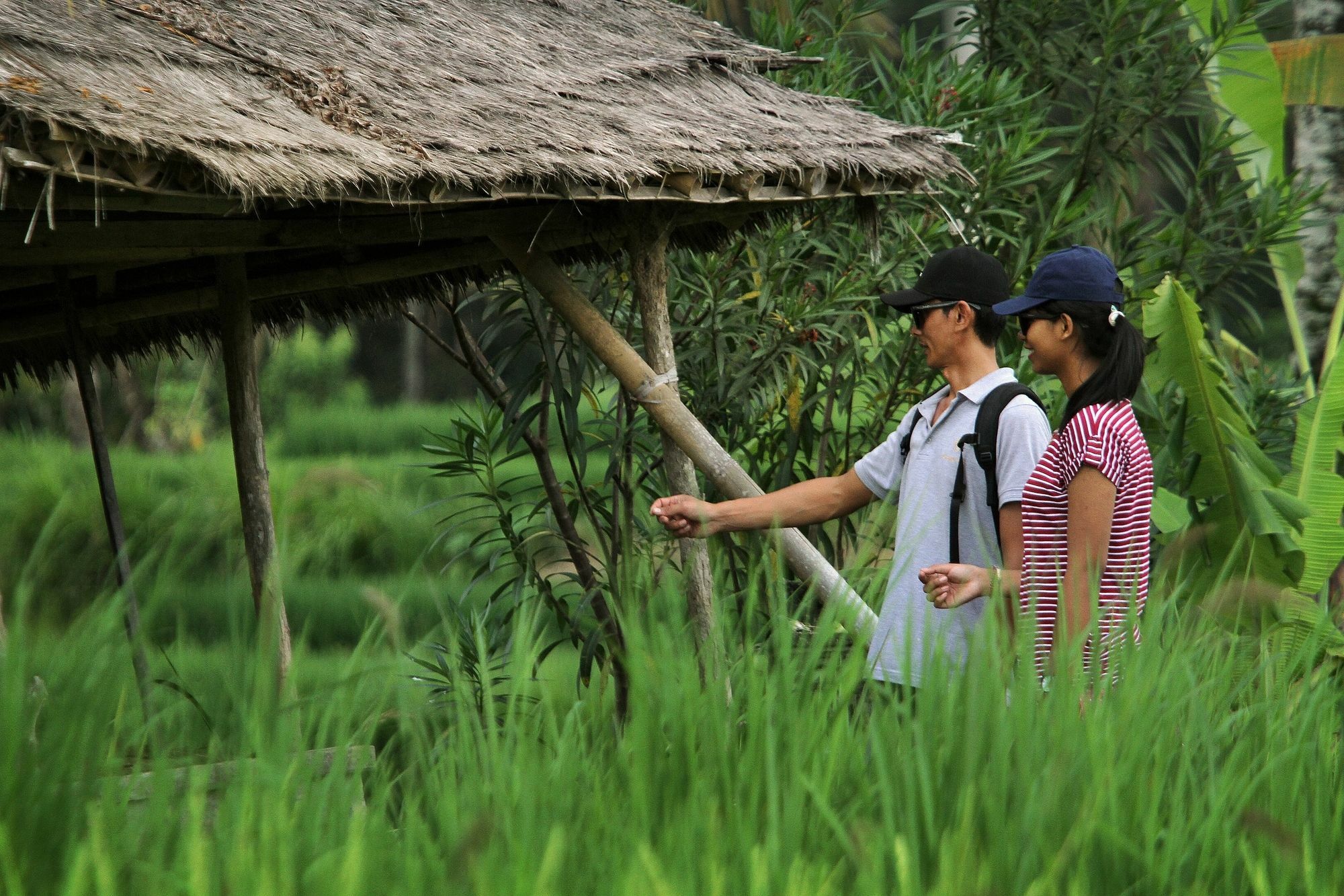 D'legon Villa Ubud (Bali)