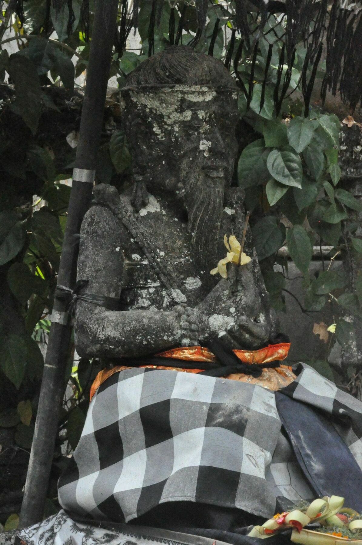 Argasoka Ubud (Bali)