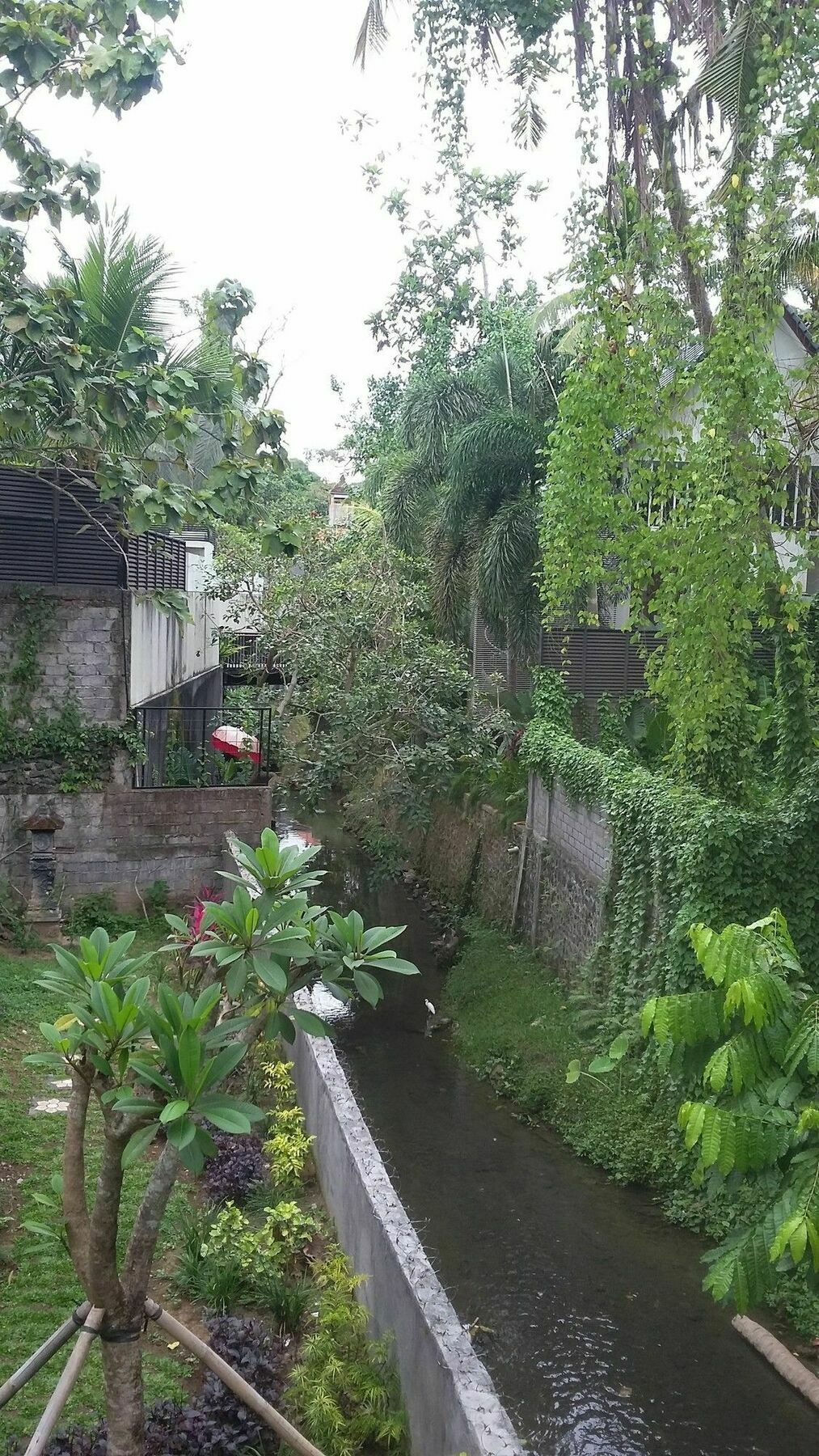 Argasoka Ubud (Bali)