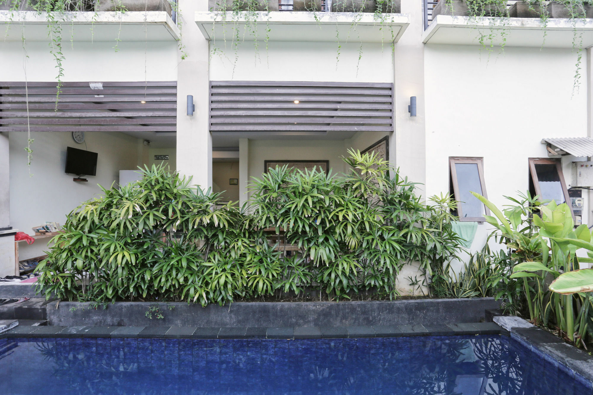 Reddoorz At Benesari 2 Legian 3*
