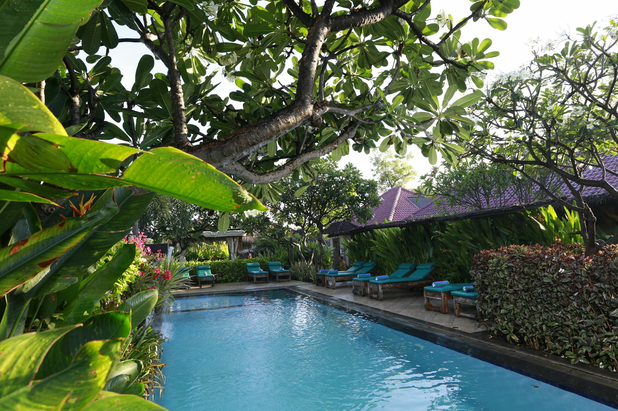 Guest house Taruna Boutique & 3*