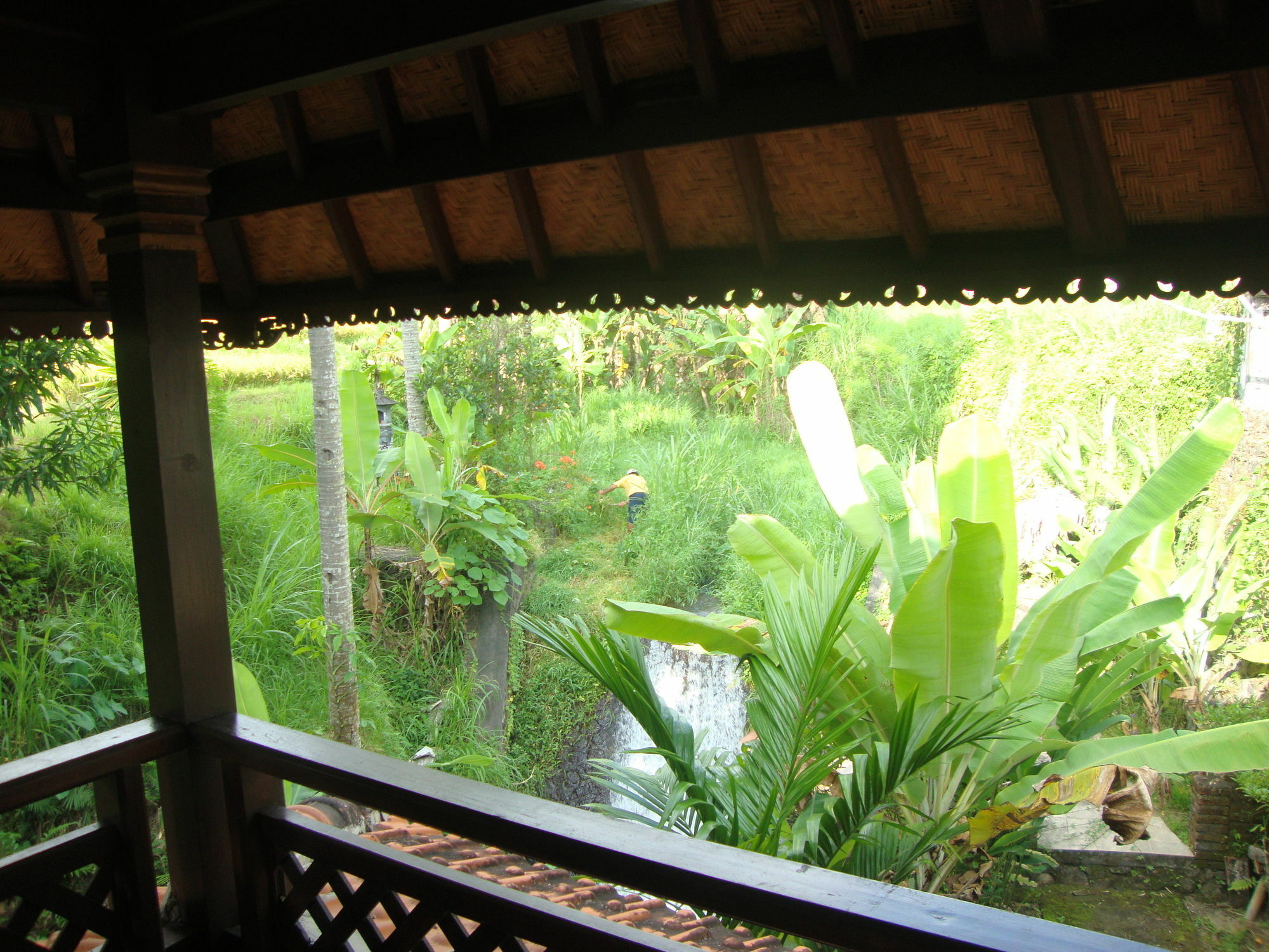 Atres * Munduk (Bali)