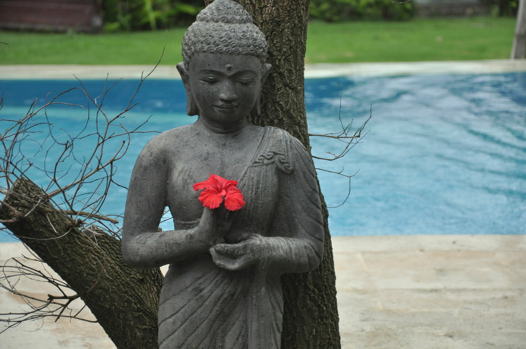 Guest house Kubudiuma Bali Canggu (Bali)