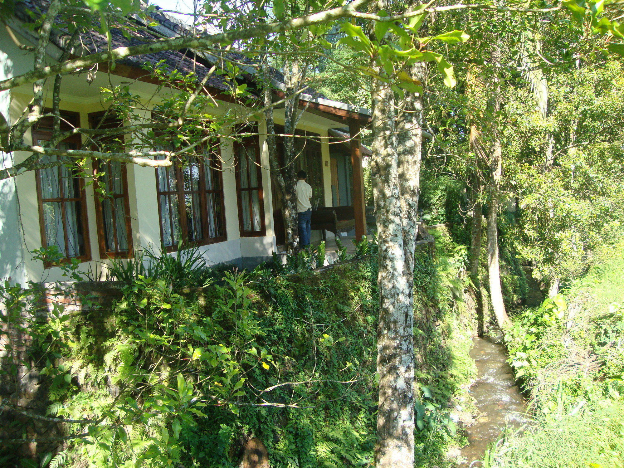 Atres * Munduk (Bali)