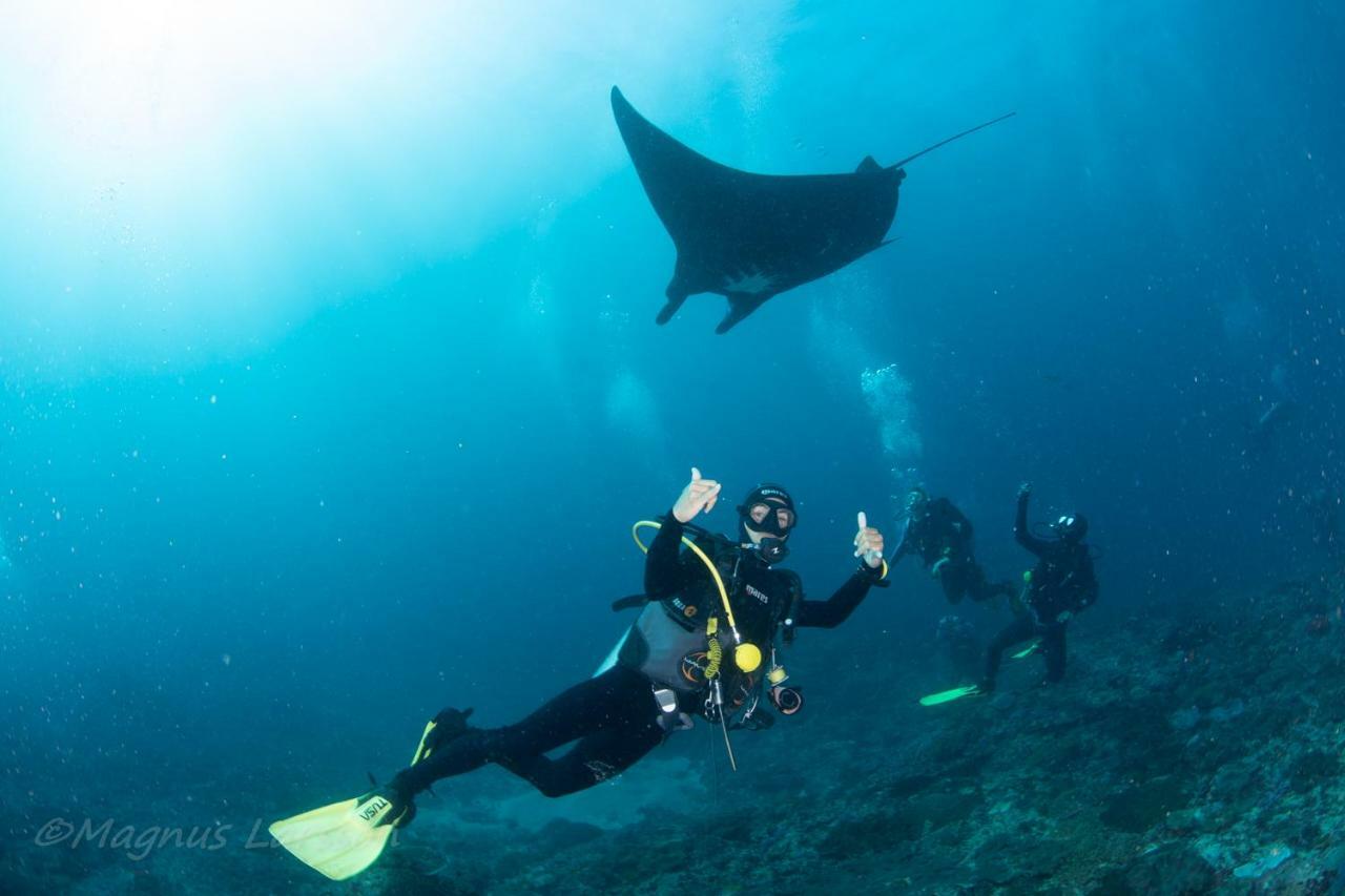 Bali Dive Resort