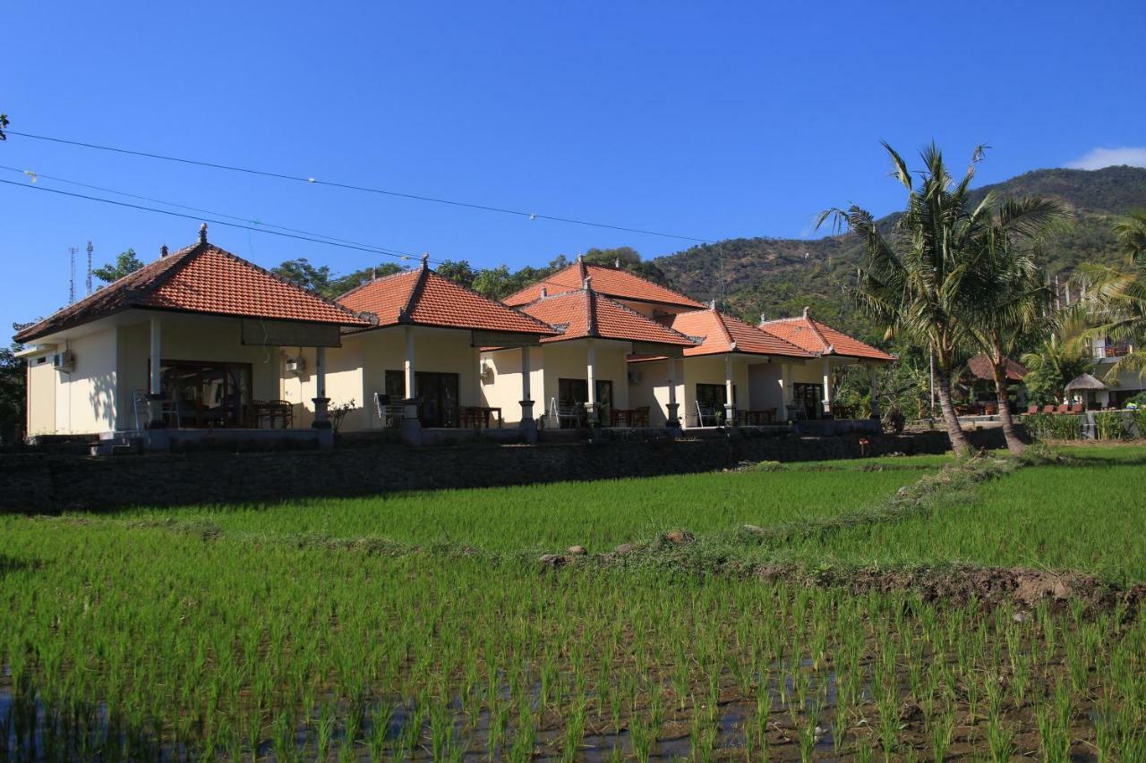 Guest house Taman Padi Amed (Bali)