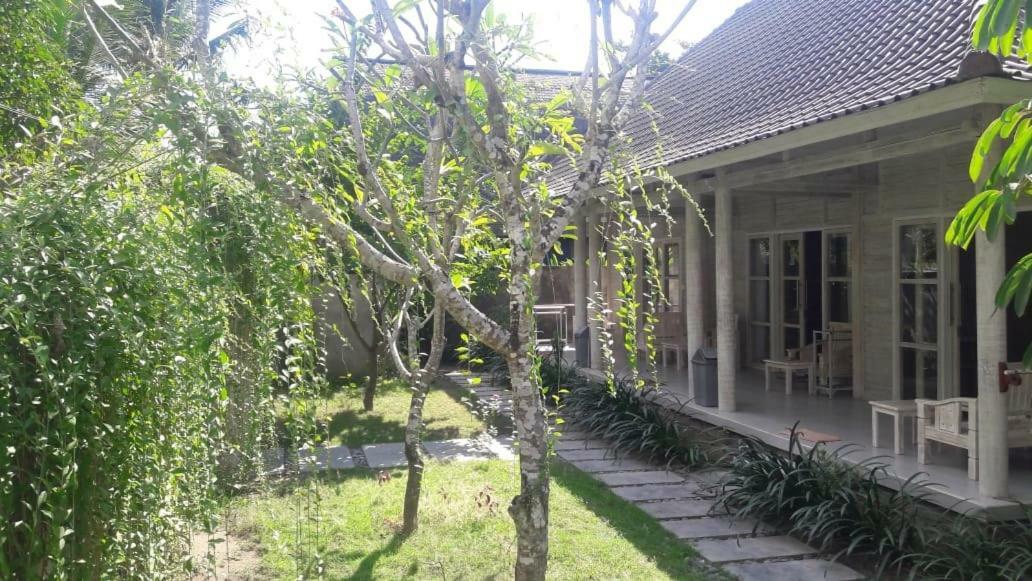 Vista Huts Guest house *