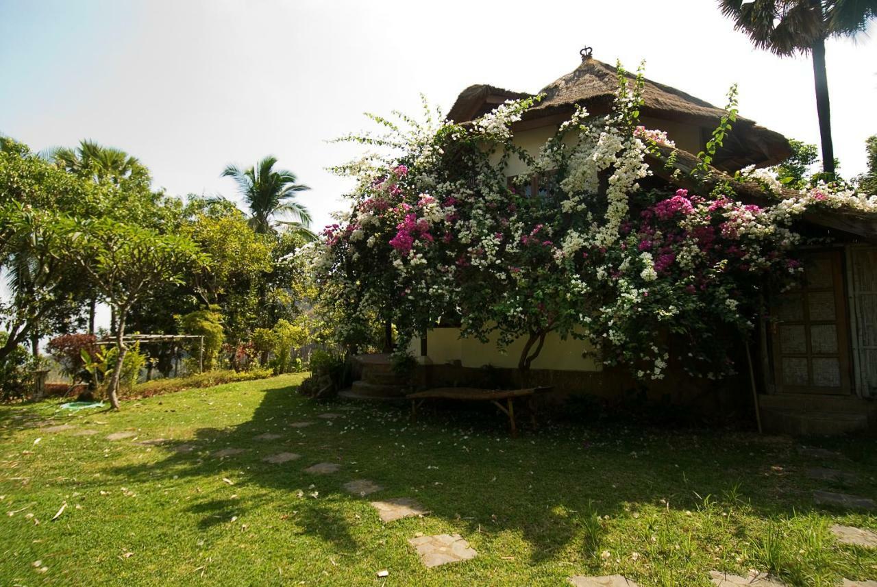 Hotel Gaia-oasis Mountain Abasan *