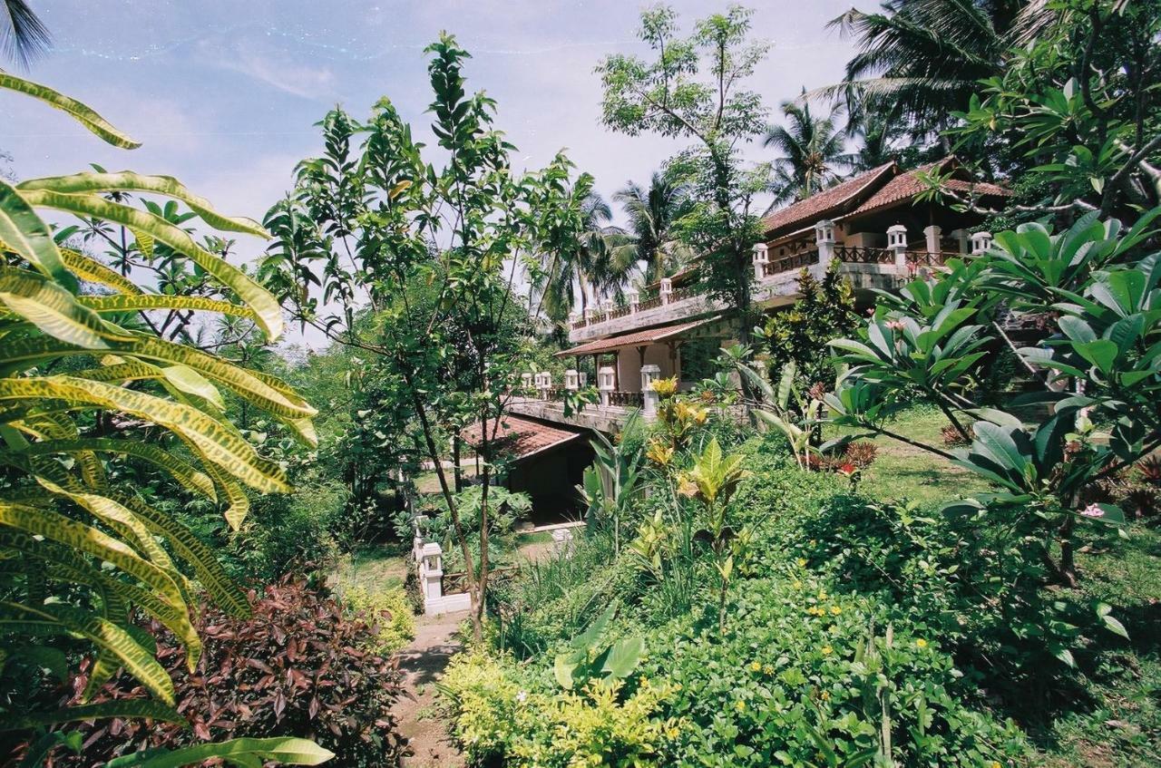 Gaia-oasis Mountain Abasan Tejakula