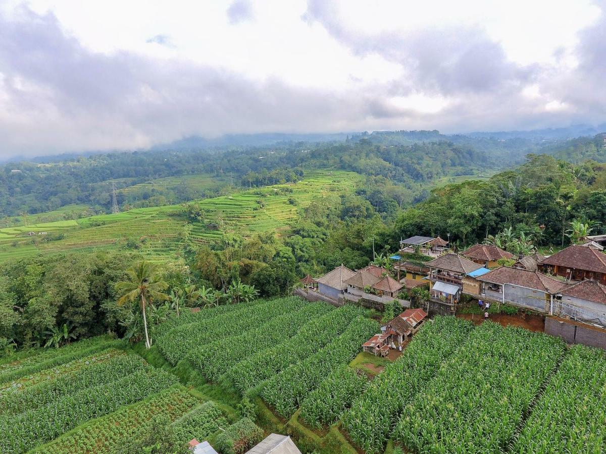 Nyoman Bedugul By Agata Guest house 3*