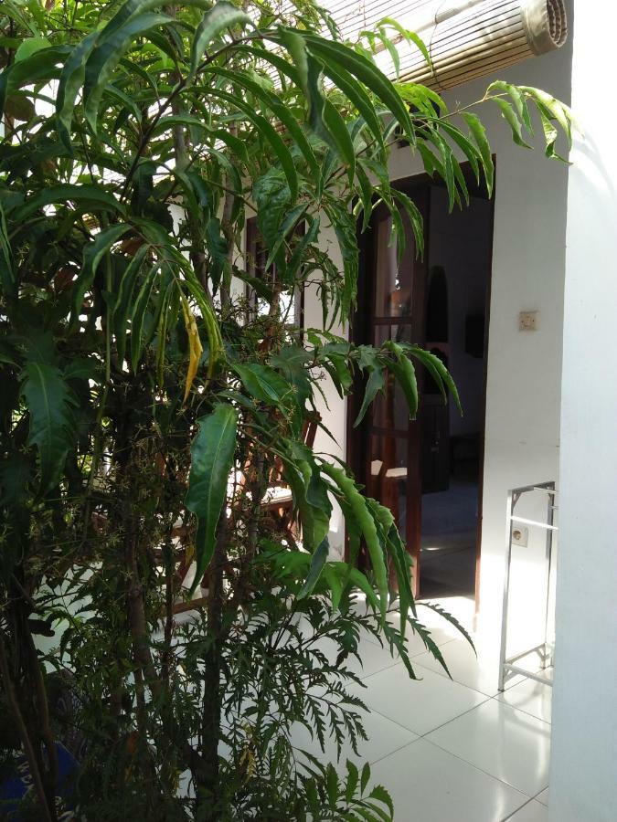 Volcano Beach Bungalow Amed (Bali)