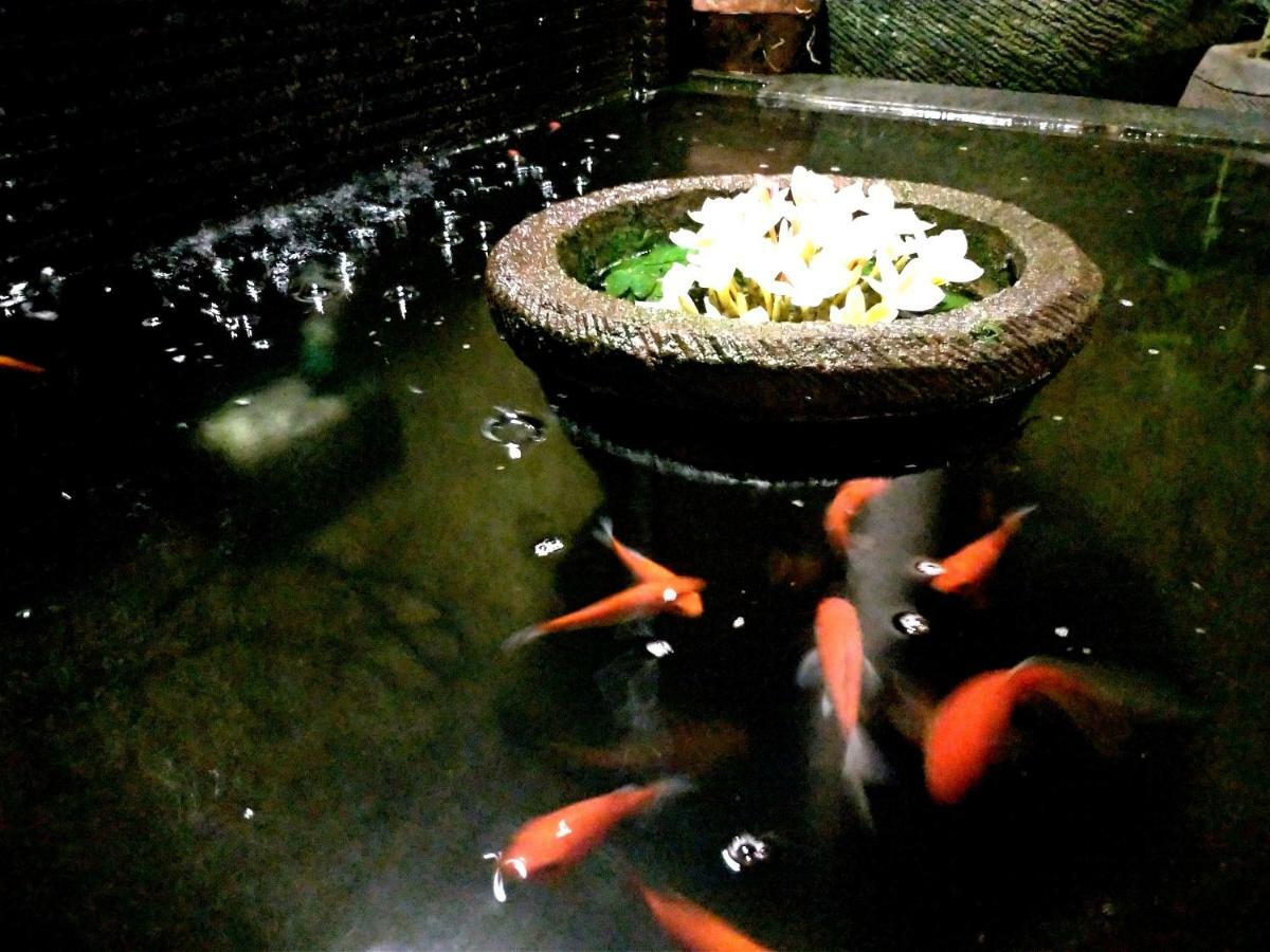 Dong Jegeg Guest house *