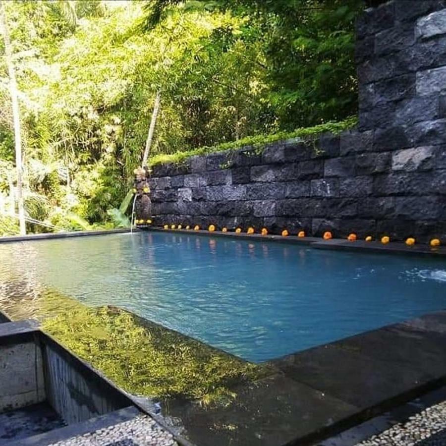 Ubud Harmony Private Villa And Pool Villa *