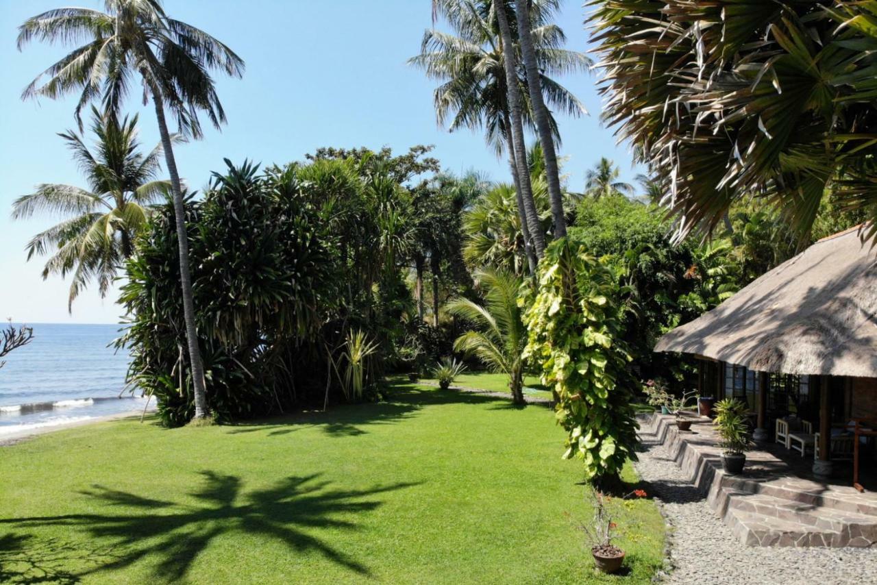 Resort Ciliks Garden