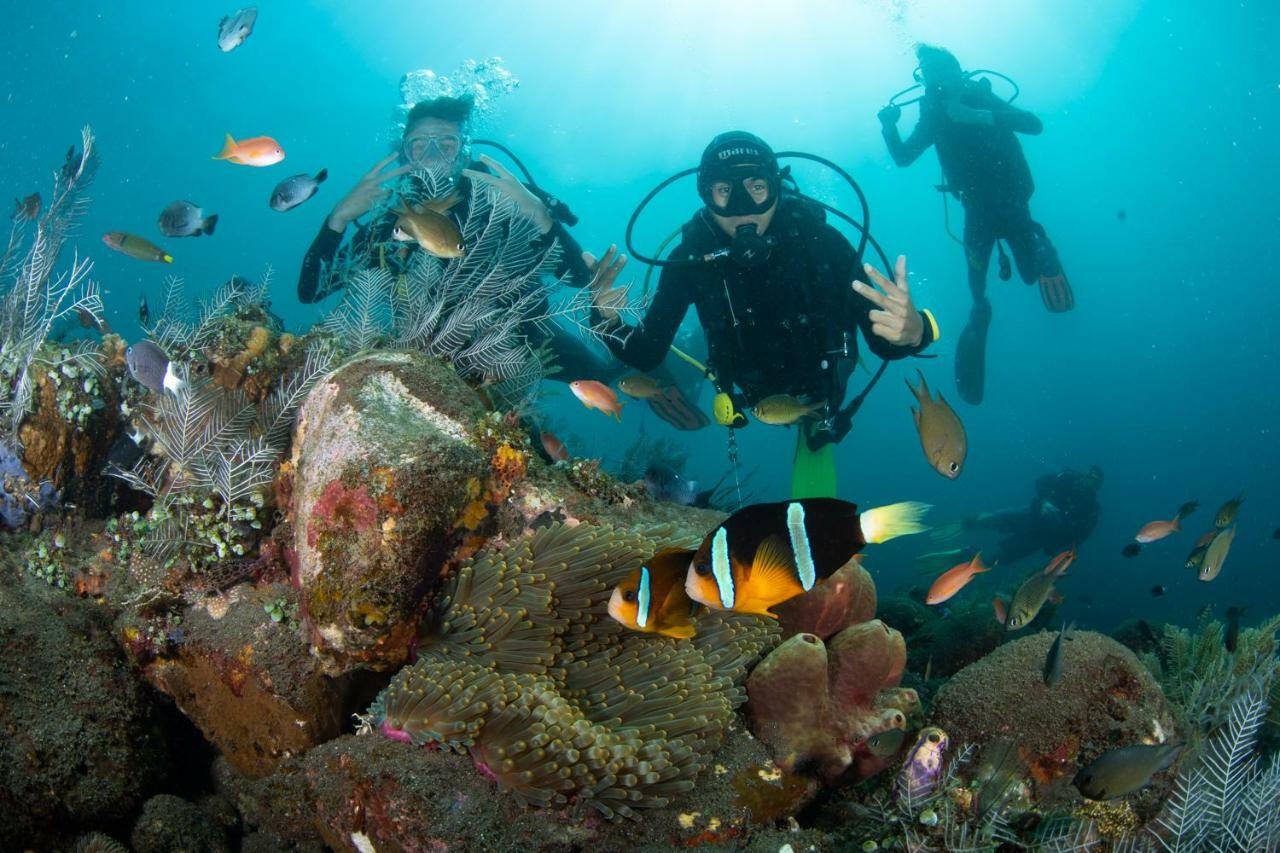 Bali Dive * Amed (Bali)