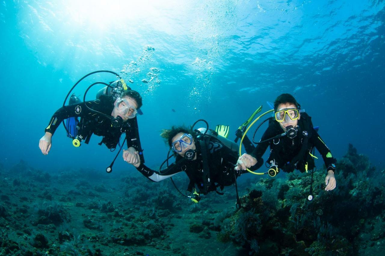 Bali Dive