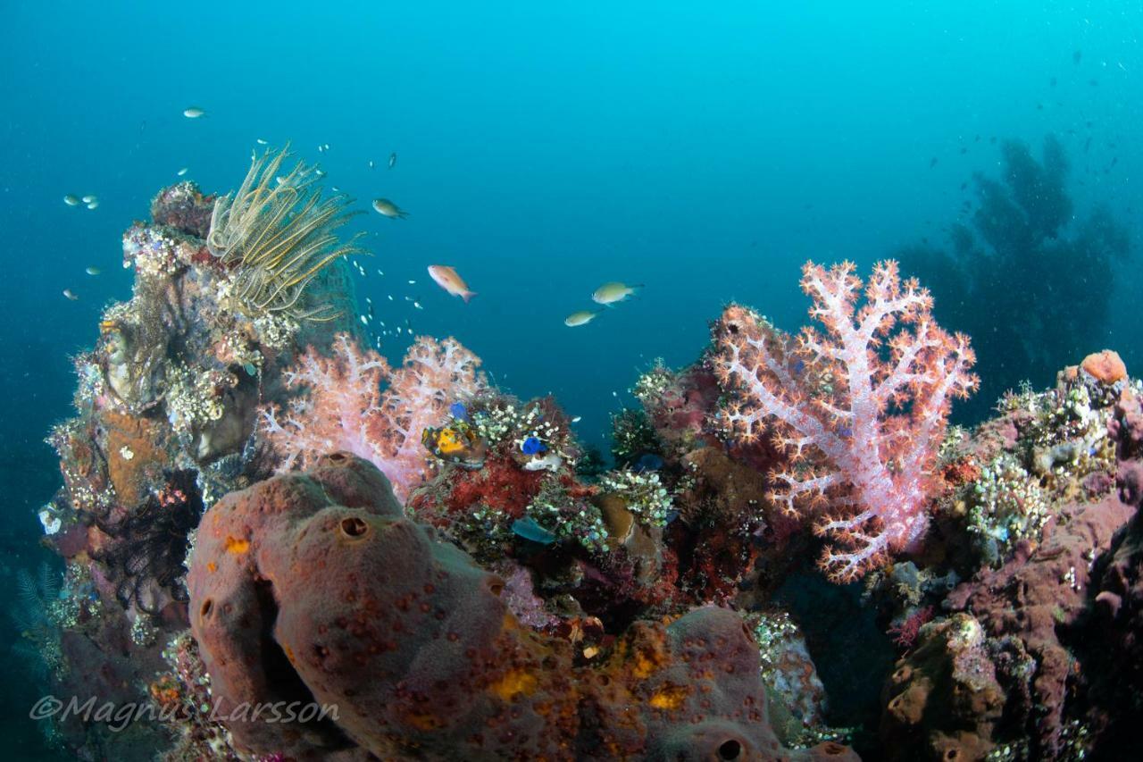 Resort Bali Dive *