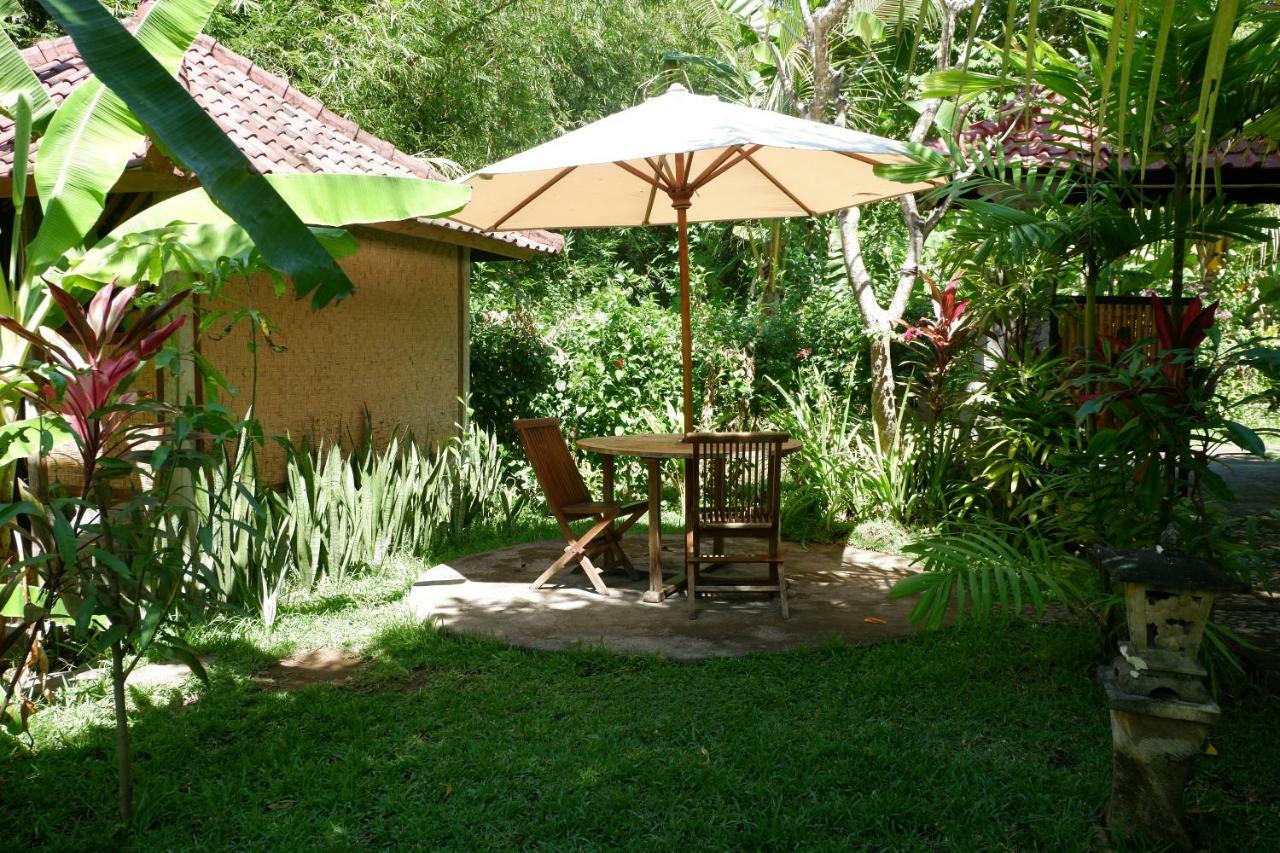 Aditya Villa Tejakula