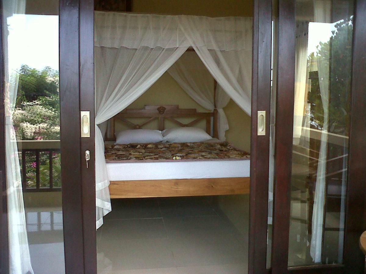 Bali Coral Amed (Bali)