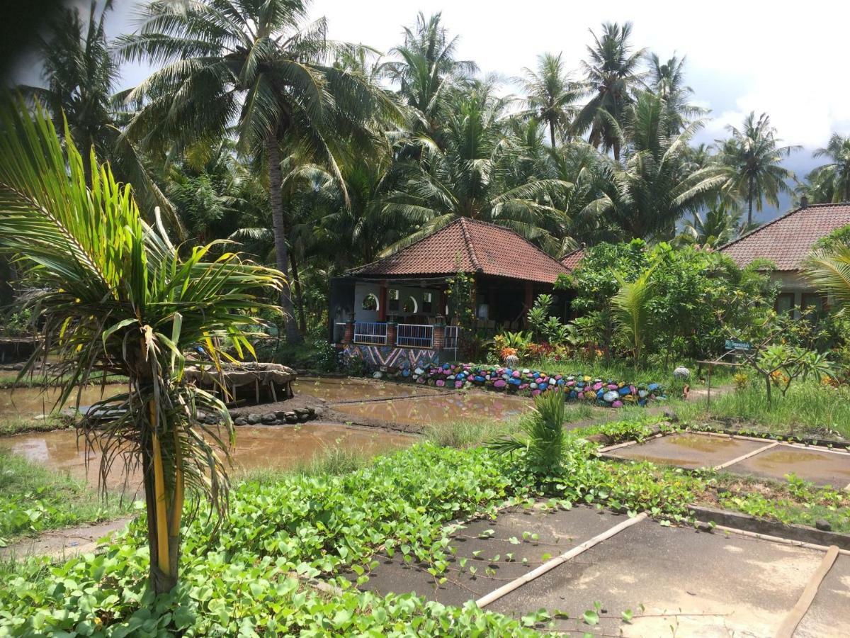 Bali Segara Lestari Oceanfront * Tejakula