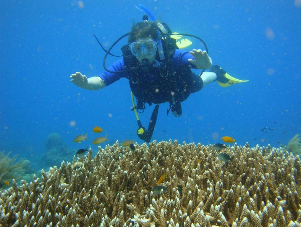 Bali Segara Lestari Oceanfront * Tejakula