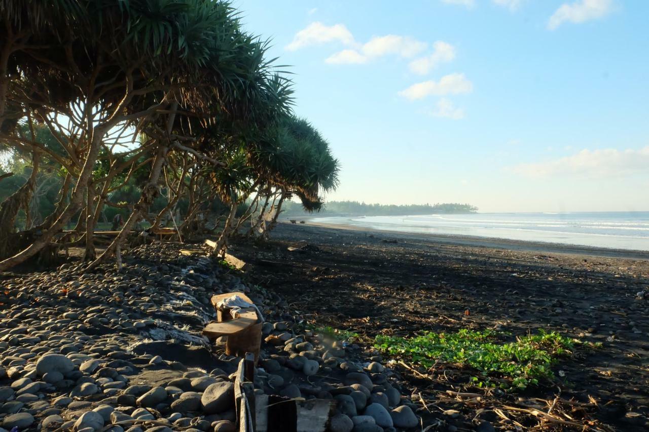 Guest house The Nyamo Surf & 2*