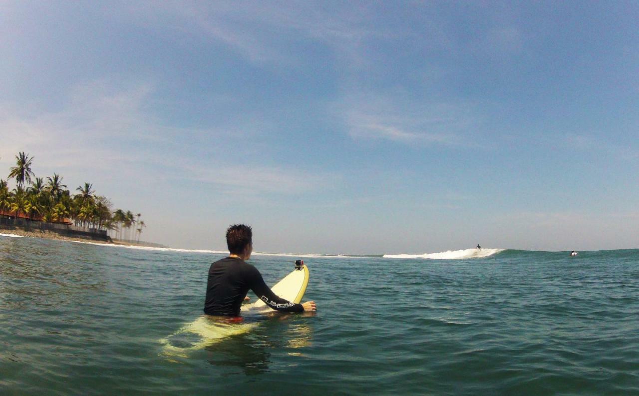 Guest house The Nyamo Surf &