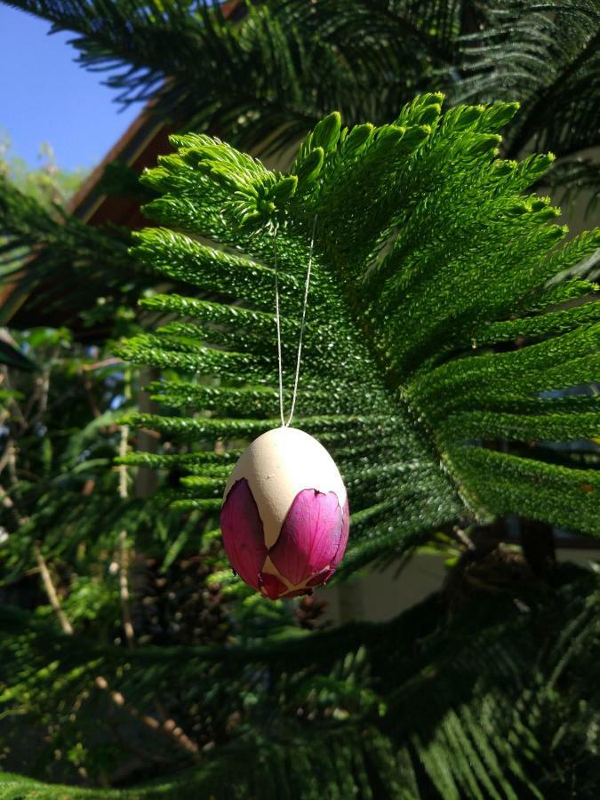 Wisma tamu Sunari Canggu (Bali)