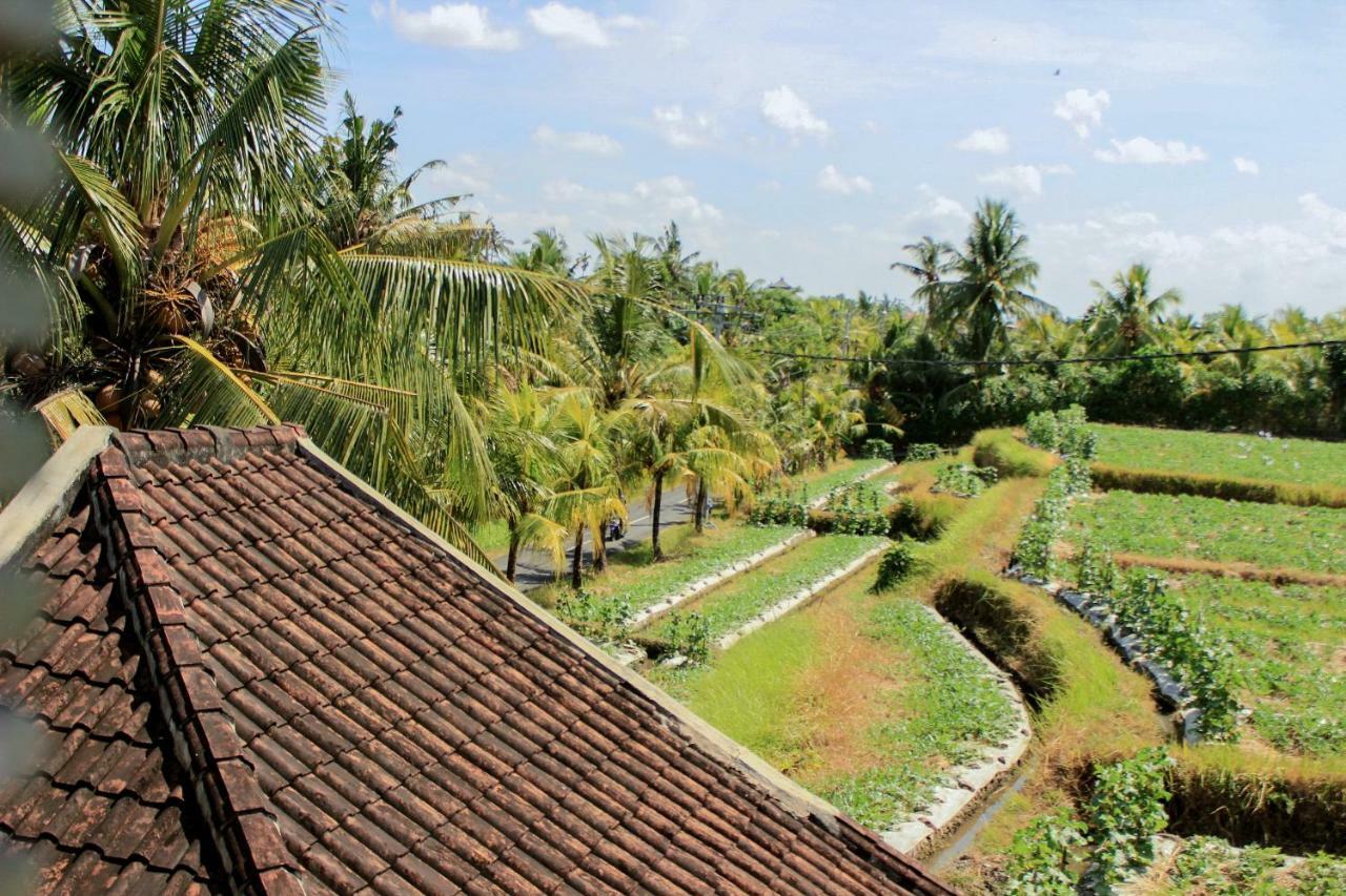 Ancut Sari Guest house