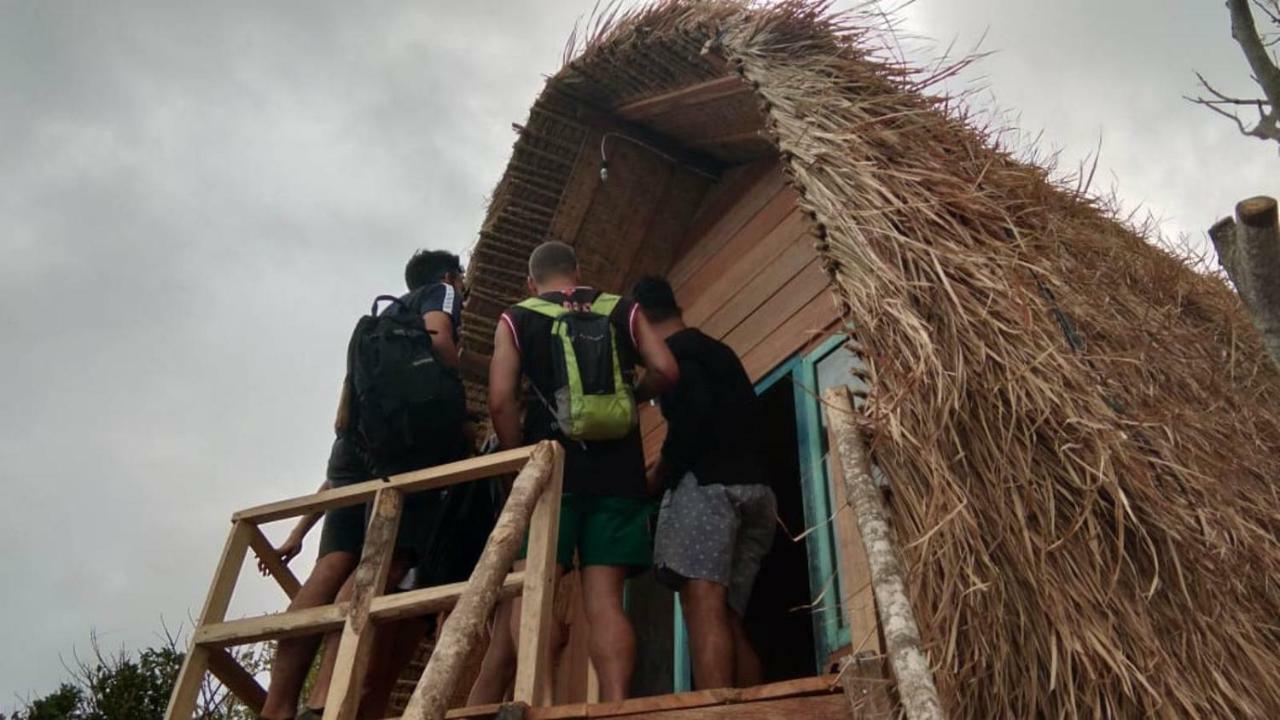 Eco-tourist Dreamstay Treehouse