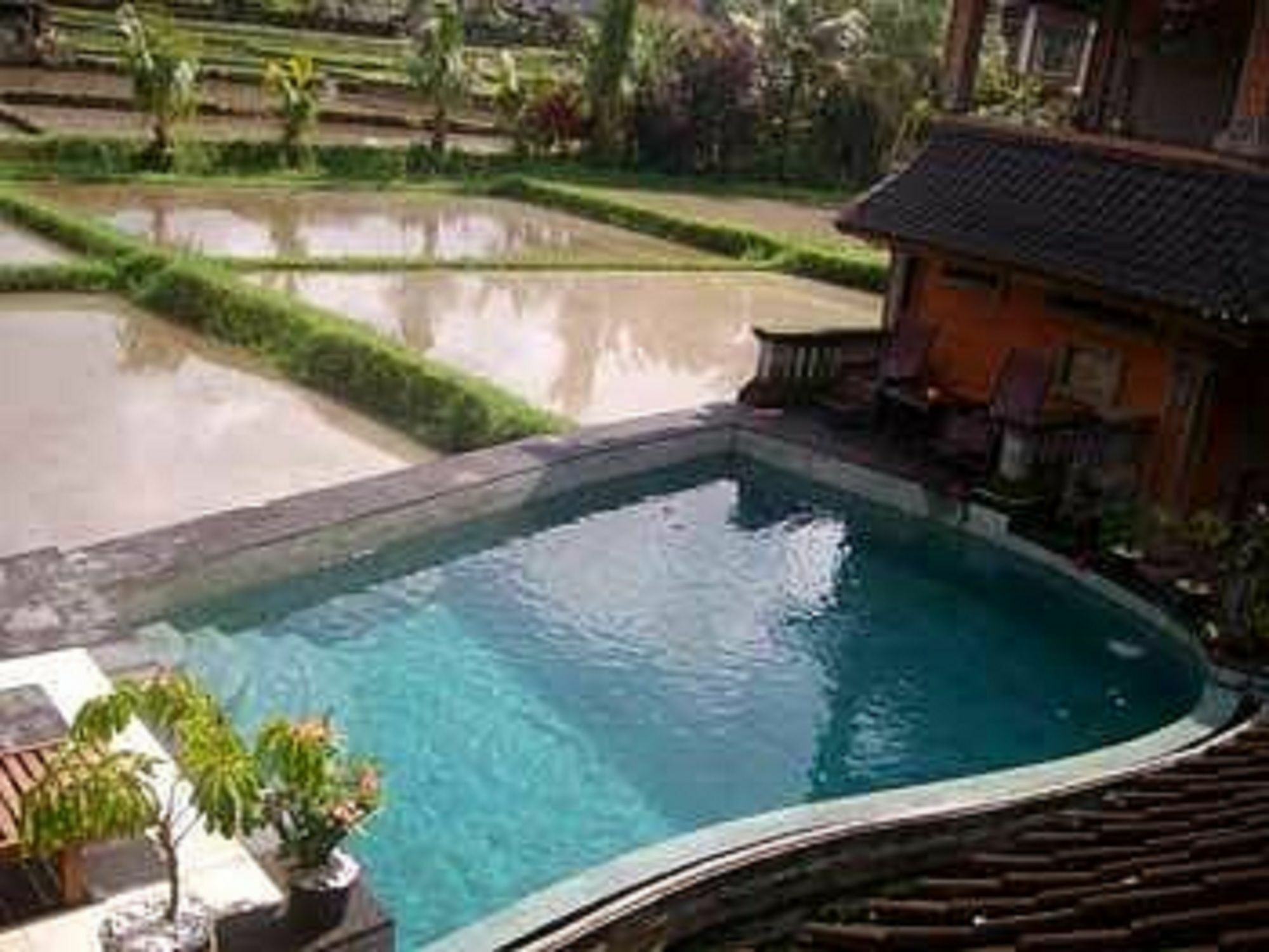 Guest house Ala's Lagoon Ubud (Bali)
