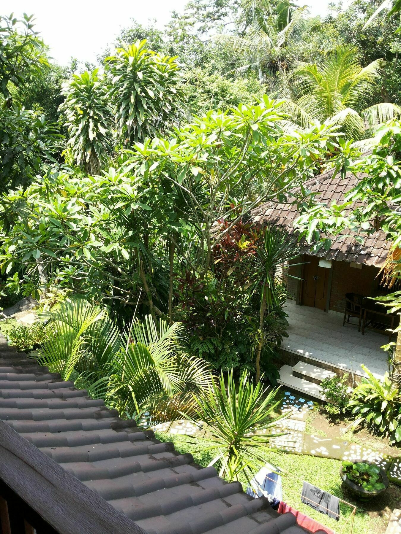Ben's Ubud (Bali)