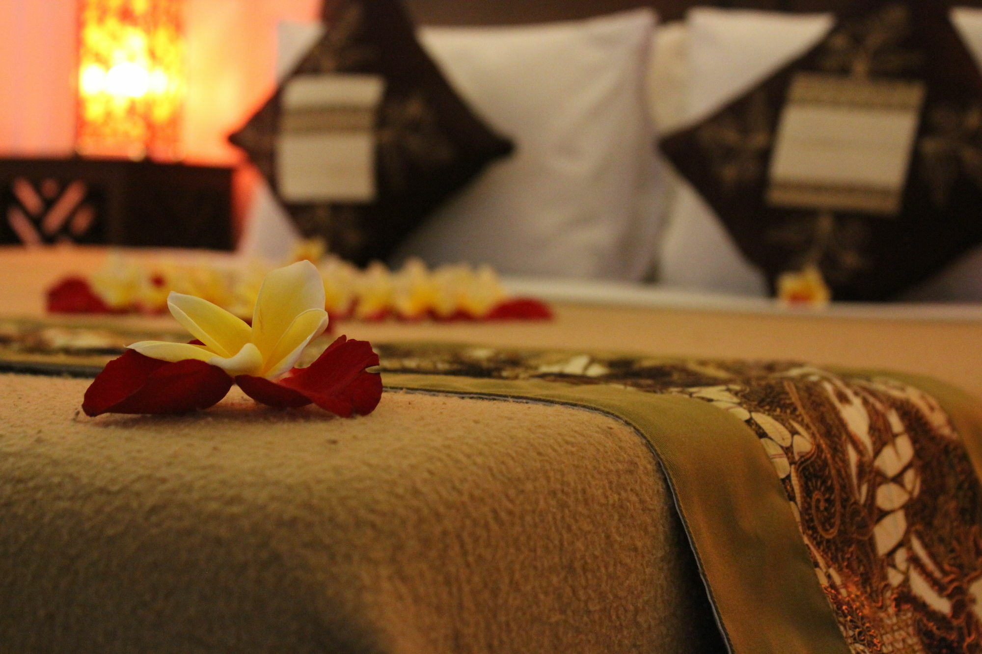 Homestay Ben's Ubud (Bali)