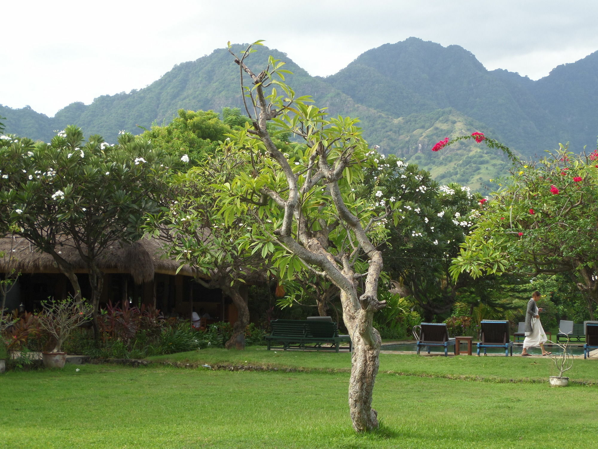 Taman Selini Wahana Holiday park Pemuteran (Bali)